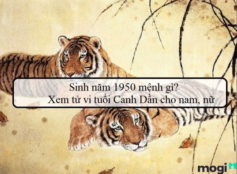 Sinh Năm 1950 Tuổi Gì? Luận Giải Tử Vi Của Canh Dần Sinh Năm 1950