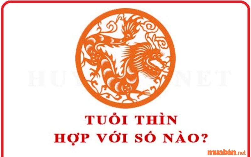 Giáp Thìn Sinh Năm 1964 Mệnh Gì, Hợp Tuổi Gì, Hướng Nào?