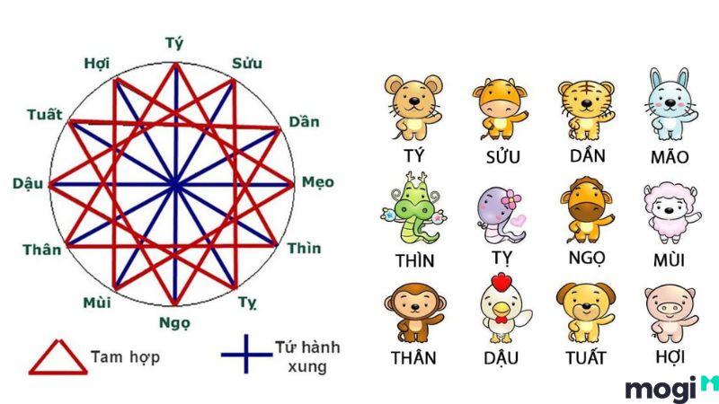 1952 Tuổi Gì? Giải Mã Tử Vi Cuộc Đời Của Người Sinh Năm Nhâm Thìn 1952