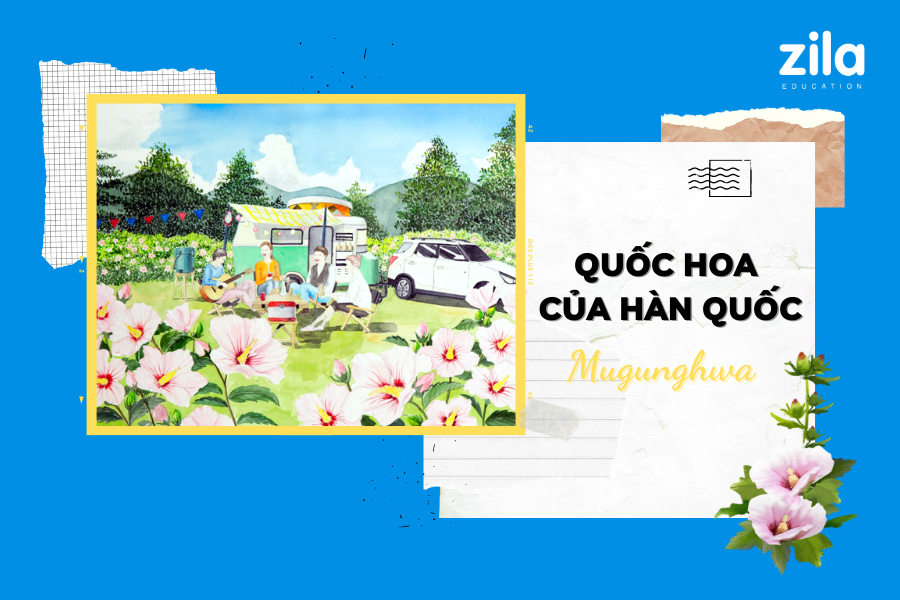 Nét đẹp ẩn chứa trong Quốc hoa của Hàn Quốc (Mugunghwa)