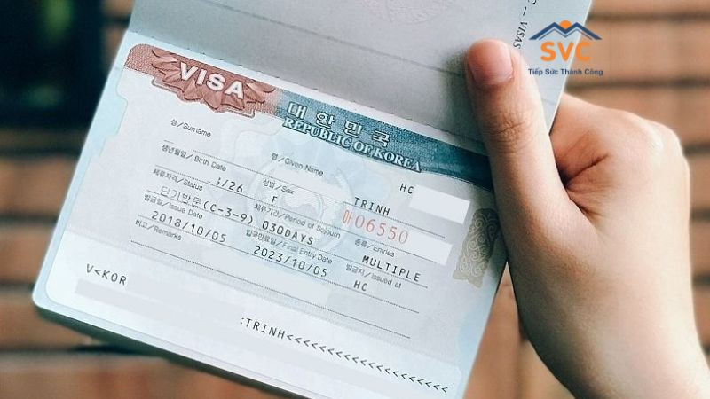 Visa E7 là gì? Những thông tin chi tiết về visa E7 Hàn Quốc