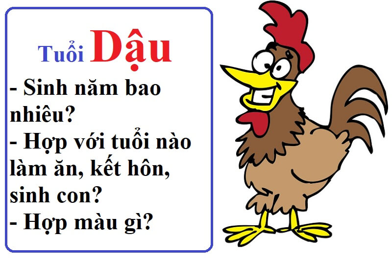 Phong thủy tuổi Ất Dậu hợp và kỵ với những màu gì nhất?