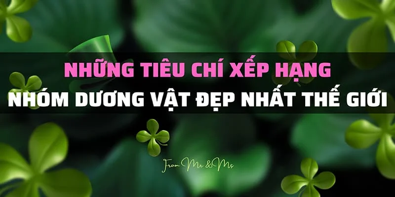 Dương Vật To Đẹp Nhất Thế Giới - Khám Phá Top 10 Cu To