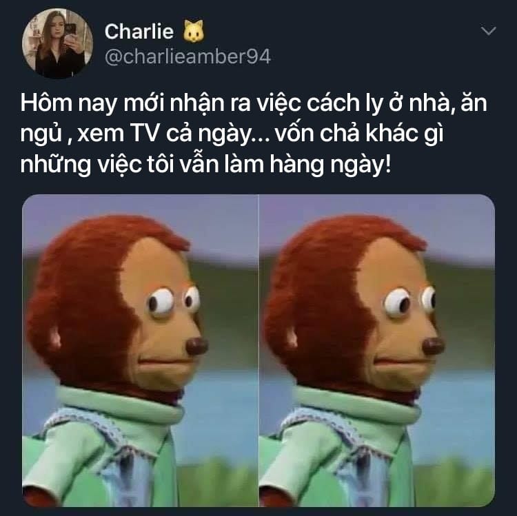 Meme - những hình ảnh