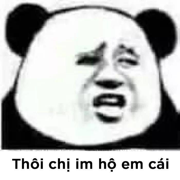 Đồng hành cùng bộ sưu tập meme gấu trúc Weibo hài bá đạo