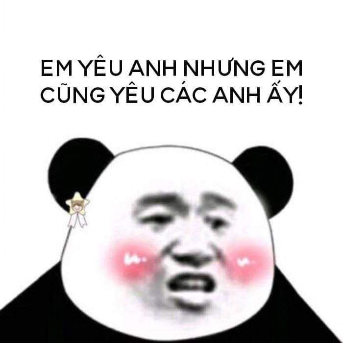 Đồng hành cùng bộ sưu tập meme gấu trúc Weibo hài bá đạo