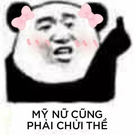 Đồng hành cùng bộ sưu tập meme gấu trúc Weibo hài bá đạo