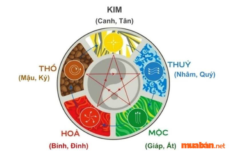 Tử Vi Tuổi Mão 1987 Năm 2023 Nam Mạng Luận Giải Chi Tiết