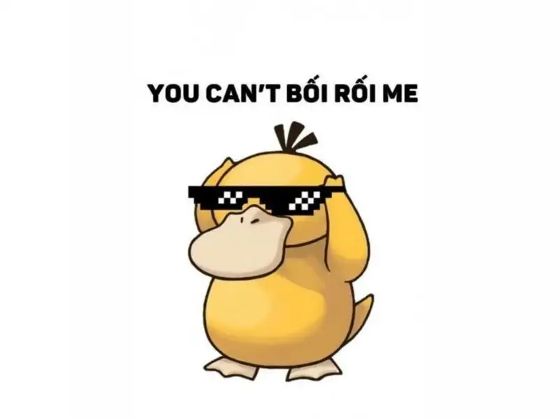 Top 30 ảnh vịt meme psyduck cực hài hước, bá đạo