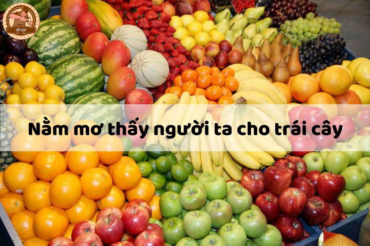 Nằm mơ thấy người ta cho trái cây đánh đề con gì?