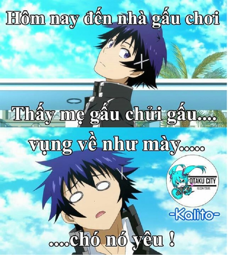 Lưu ngay 101+ anime meme cực hài hước, độc đáo mới nhất hiện nay