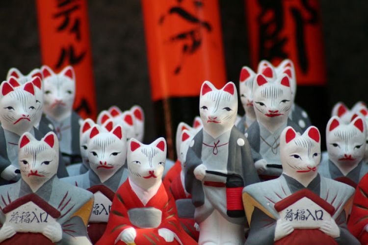 Kitsune là gì? Những câu chuyện về loài cáo trong tín ngưỡng của người Nhật