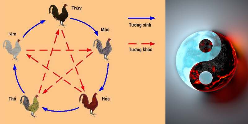 Phương Pháp Xem Ngày Đá Gà Chuẩn Nhất 2024 Từ Sư Kê Bật Mí