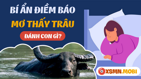 Mơ thấy con trâu báo hiệu tương lai như thế nào?