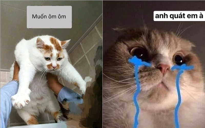 100+ ảnh meme hài hước, vui nhộn “trend” nhất hiện nay