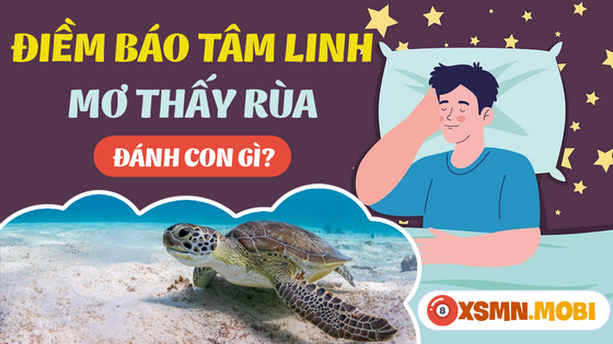 Mơ thấy con rùa thể hiện điềm báo may mắn hay vận xui?