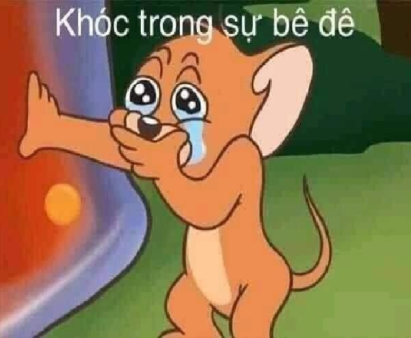 Tổng hợp bộ Tom and Jerry meme cực hài hước dễ thương