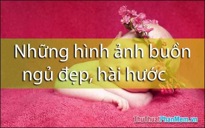 Những bức ảnh tuyệt vời về giấc ngủ, dễ thương và đầy hài hước