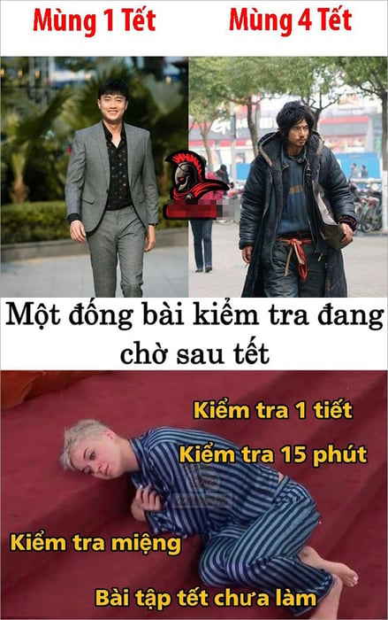 Bộ sưu tập Meme Tết hài hước